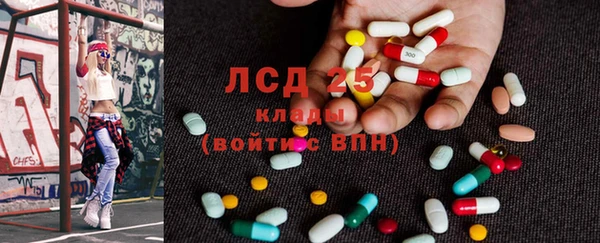 ПСИЛОЦИБИНОВЫЕ ГРИБЫ Няндома