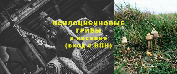 ECSTASY Бутурлиновка