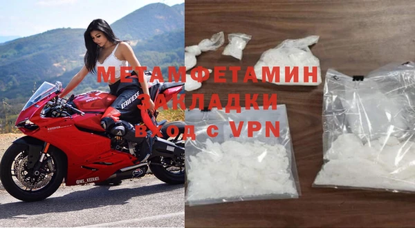 ПСИЛОЦИБИНОВЫЕ ГРИБЫ Няндома