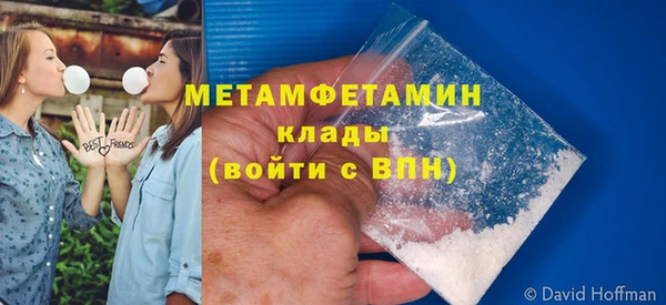 ПСИЛОЦИБИНОВЫЕ ГРИБЫ Няндома