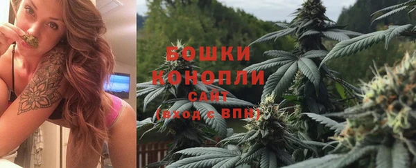 ПСИЛОЦИБИНОВЫЕ ГРИБЫ Няндома