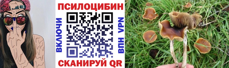 Галлюциногенные грибы ЛСД что такое Абаза